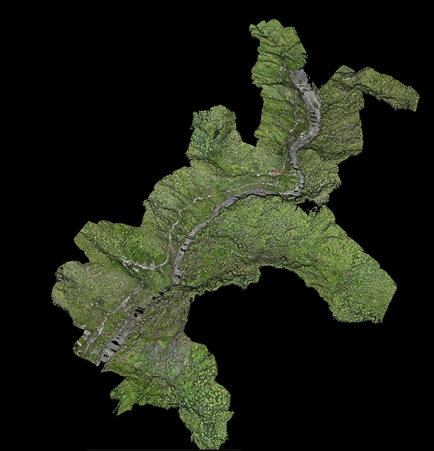 True-colour RGB LiDAR point cloud of a forested river valley